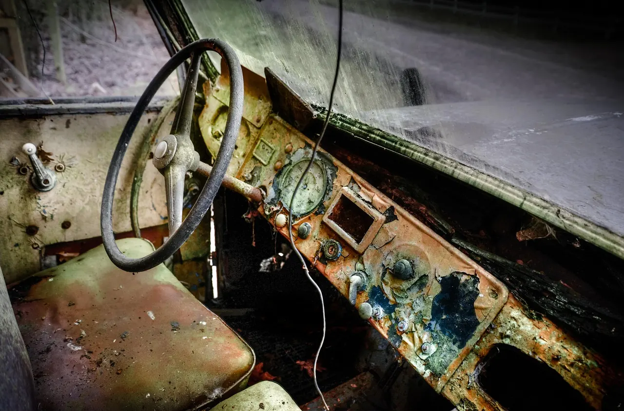 Neglected car cabin with mould on the dash and seat — illustrative example, not a customer job.
